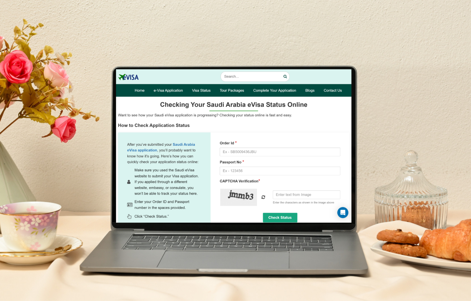 How Can Georgian Citizens Check The Saudi Arabia Evisa Status